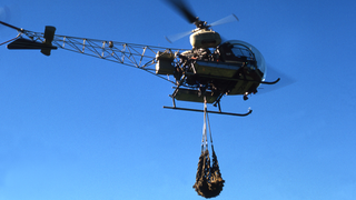 Ready to Move Animals Around the Planet for "Aggressive Conservation"?